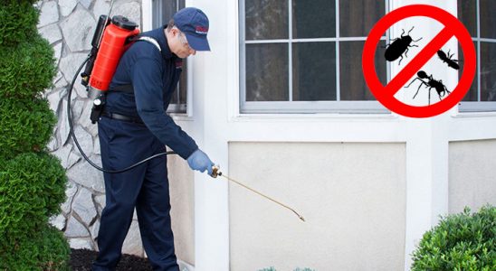 Ağın Böcek İlaçlama böcek ilaçlama ve haşere kontrolü — ilaclama-tr.com
